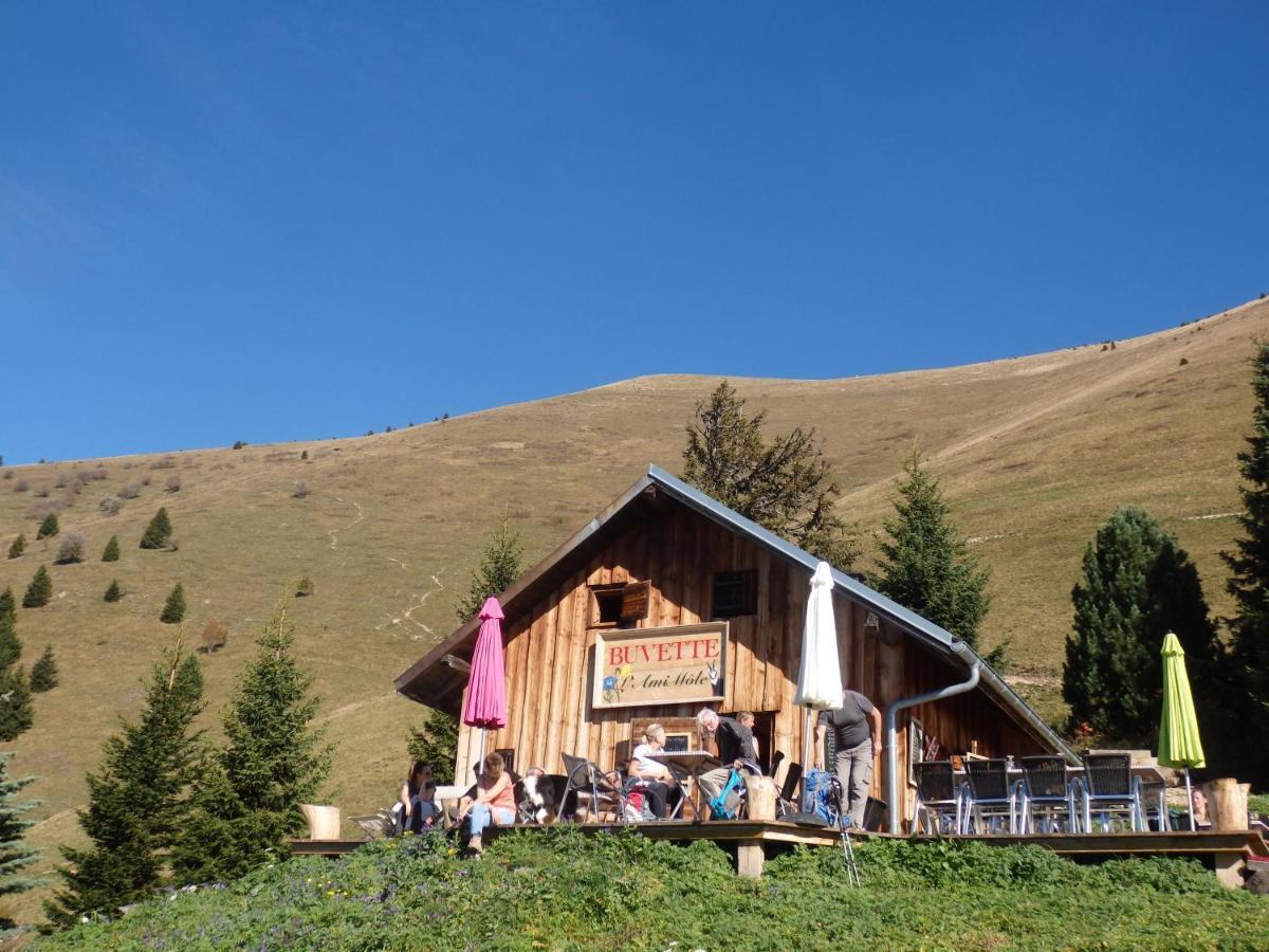 Au Coeur Des Alpes Bed & Breakfast Marignier Dış mekan fotoğraf
