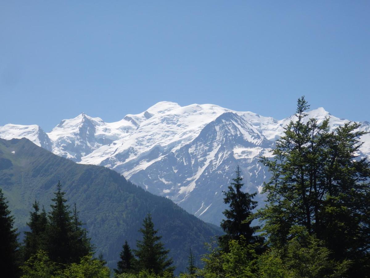 Au Coeur Des Alpes Bed & Breakfast Marignier Dış mekan fotoğraf