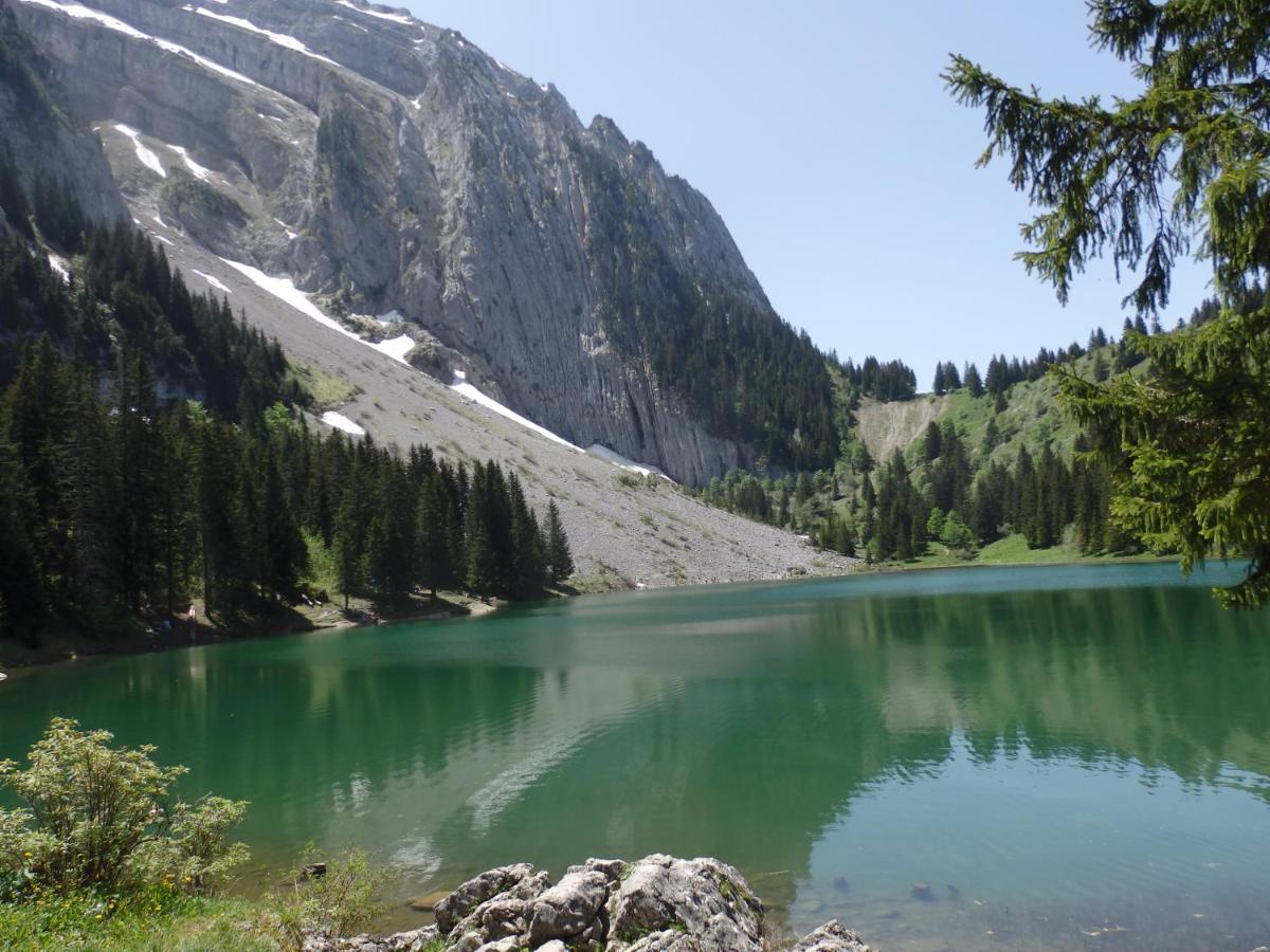 Au Coeur Des Alpes Bed & Breakfast Marignier Dış mekan fotoğraf